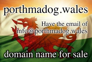 PORTHMADOG.WALES Domainname (inkl. MwSt) 3. bei Google! Verlängert für 14£ pro Jahr - Bild 1 von 1