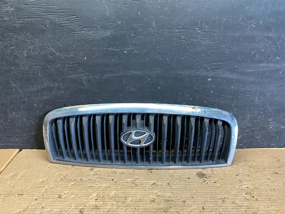 2001 to 2005 Hyundai Sonata Front Upper Grille Grill Bumper OEM S5868 DG - Image 1 of 4