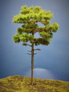 Diorama Modell Nadelbäume, 1 Waldkiefer, ca. 28 cm - Picture 1 of 3