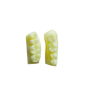 Composite Resin Restore Model Dental FIT With IPS Empress Direct Student Test - Picture 1 of 7