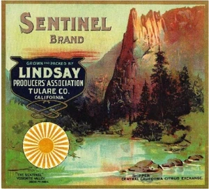 Lindsay Sentinel Yosemite #2 Orange Crate Label Print - Imagen 1 de 1