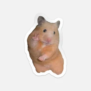 Peace Hamster Meme Car Bumper Vinyl Sticker Decal - Picture 1 of 4