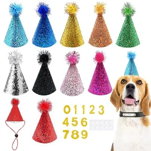 PET SHOW 10pcs Small Dog Birthday Hat Set Medium Large Dogs Cat Kitten Puppie... - Picture 1 of 7