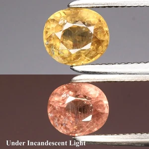 💎 0.68ct 5.2x4.5mm Oval Natural Color Change Garnet - Unheated, Africa Gemstone - Picture 1 of 6