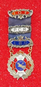 ORNATE STERLING ENAMEL MEDAL, I.O.F. L.B.C. MOOSE LODGE #766 - Picture 1 of 3