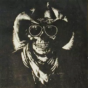 SKULL COWBOY WITH HAT AND GLASSES FABRIC WALL TAPESTRY HANGING #794 HUGE FLAG - Picture 1 of 1