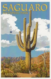 Postal Arizona Saguaro National Park - Roadrunner and Trail COMO NUEVO sin usar - Imagen 1 de 1