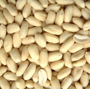 Blanched Peanuts 1kg Raw White BULK No Skin Jumbo Peanut skinless large best kg - Picture 1 of 1