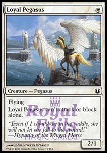 Loyal Pegasus 4x FOIL BNG MTG Born of the Gods Common MINT white - Picture 1 of 1