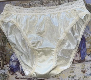 Vintage Fruit Of The Loom  Large Nylon  Hi Cut Panties - Picture 1 of 7