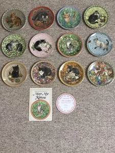 Lesley Anne Ivory Set Of 12 Plates, Meet My Kittens - Picture 1 of 6