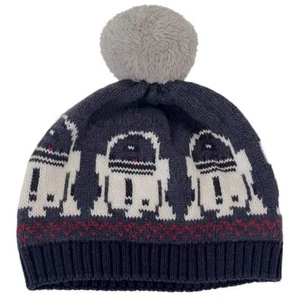 Hanna Andersson Star Wars Pom Pom Beanie Hat Size Small - Picture 1 of 8