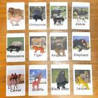 Montessori Animal Matching Toy Miniature Figurines Toys For Educational Toy A6C8