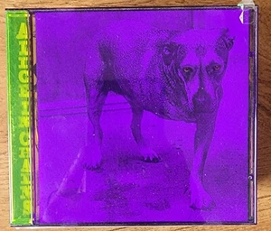Alice In Chains Self Titled CD in Purple and Green Case - Foto 1 di 1
