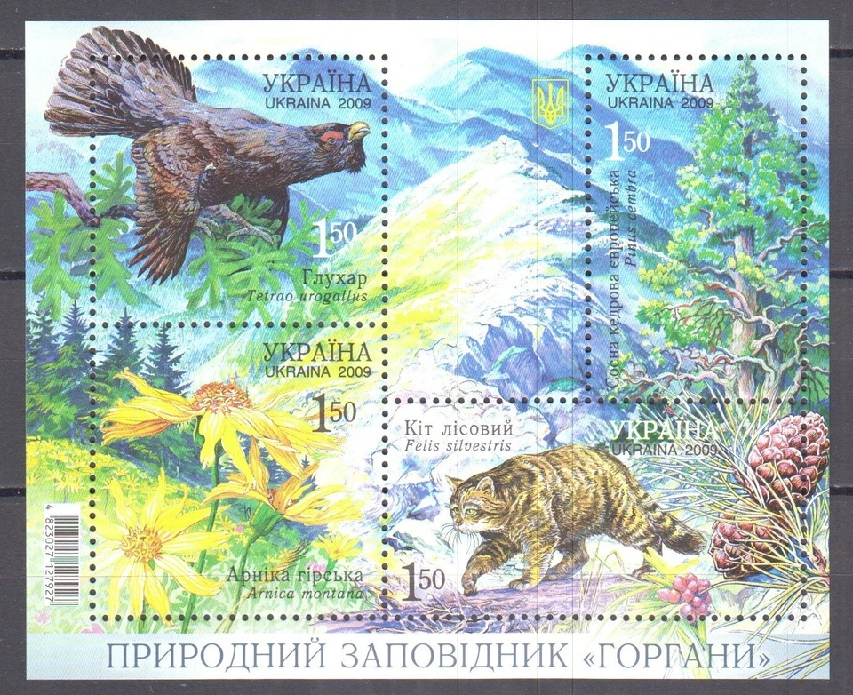 Ukraine 2009 Gorgany Nature Reserve fauna animals birds flora flowers Carpathian - Image 1 of 1