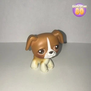 Littlest PetShop HUND BOXER 25 DOG Pet Shop W115 - Bild 1 von 3