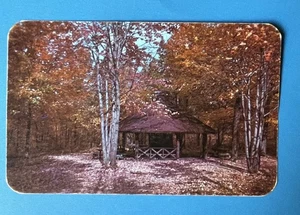 Greetings Rudolph Wisconsin Northwoods Picnic Grounds Vintage Postcard UNUSED - Picture 1 of 2
