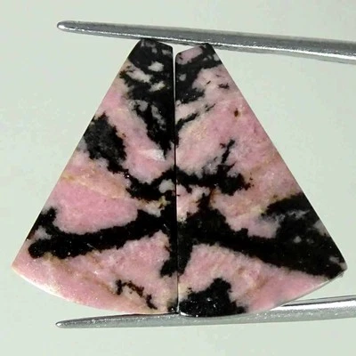 24.80Cts Natural Rhodonite Cushion Pair Loose Gemstone Earring Making 14x23x4mm - Image 1 of 4