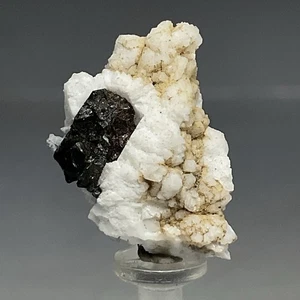 SS Rocks - Neptunite with Benitoite (Gem Mine - San Benito Co, California) 1.36g - Picture 1 of 6