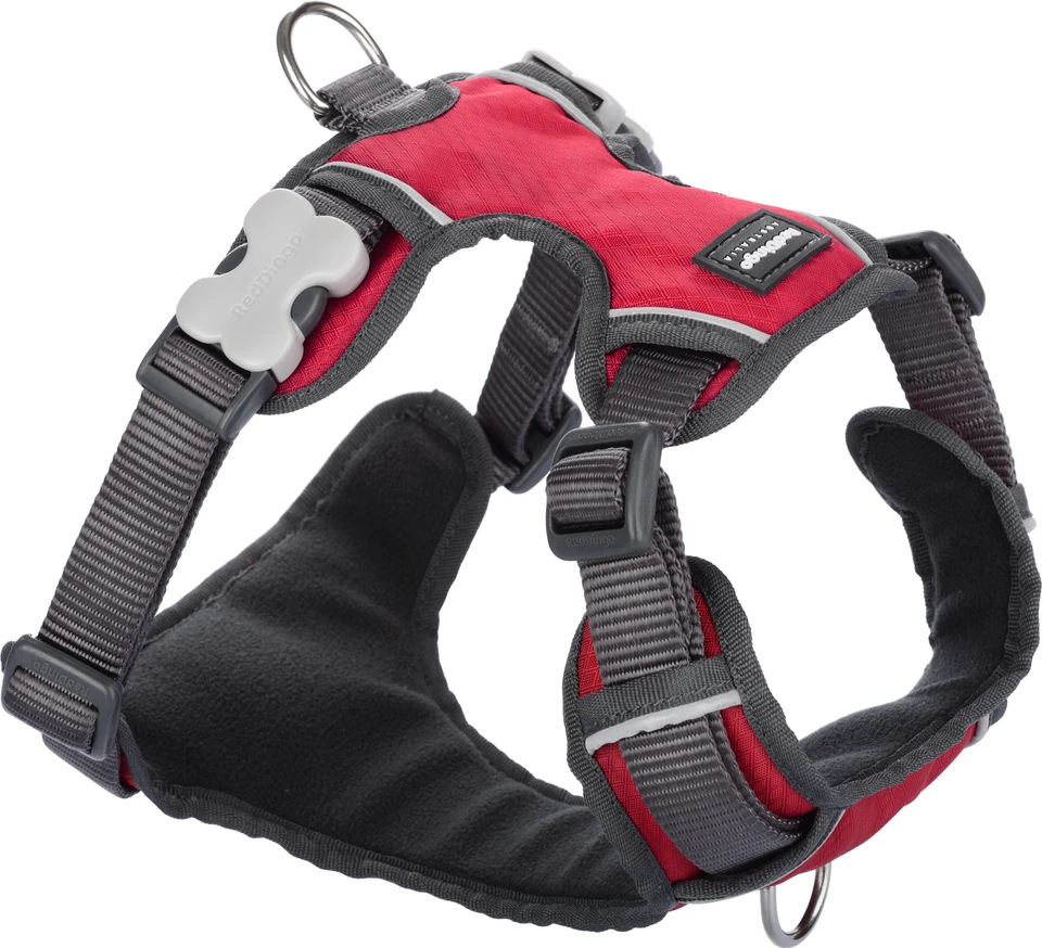 Red Dingo Padded Dog Harness Red - Image 1 of 1