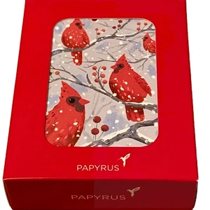 Papyrus Happy Holidays Christmas 20 Note Cards With Envelopes red cardinal Birds - Picture 1 of 5