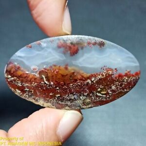 39ct NATURAL Brown Red GARDEN MOSS AGATE ~STUNNING LANDSCAPE PICTURE~
