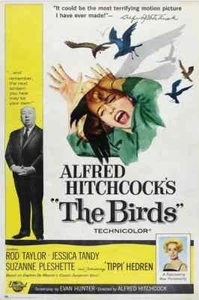 Birds Poster - Picture 1 of 4