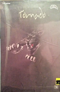 Zotz 1/48th Scale 48010 Black Panther Italian Tornado NIP - Picture 1 of 2