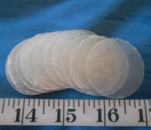 ~ Capiz Shell Sliced Rounds ~ 1.5" ~ 10 + 1 ~ Shellcraft ~ Sailor's Valentines ~ - Picture 1 of 4