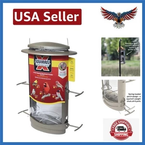 Satin Nickel Squirrel-Proof Bird Feeder with 4 Ports – Easy Filling & Cleaning - Picture 1 of 7
