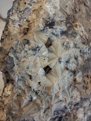 MEGA SELTEN XL Wavellit Mineralien MineralSteine Schneibstein 520g - Bild 1 von 4