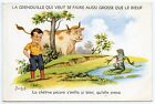 Animaux .Animals .  A/S  Jim Patt. Grenouille. Vache. Frog And Cow.