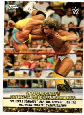 Tarjeta coleccionable Texas Tornado Mr Perfect WWE Pro Wrestling WWF Topps #4 2019 Foto 1 de 3