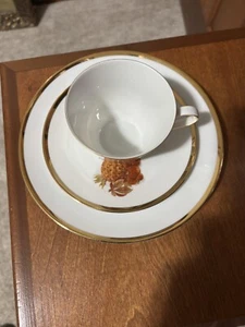 (4)Vintage Bareuther Waldsassen Bavaria Germany Dessert Plates, Cups and Saucers - Picture 1 of 5