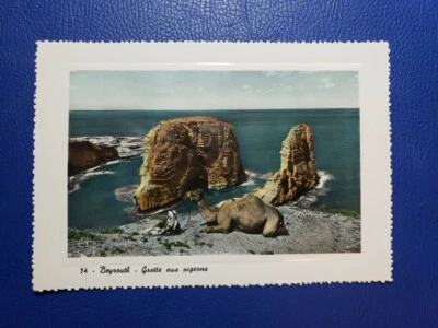 Lebanon Beyrouth Beirut Grotte Aux Pigeons Camel Raouche Postcard GULEF original - Image 1 of 2