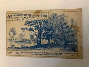 (B) Vintage Trade Card Carter’s Backache Plasters, City Drug Watkins NY - Picture 1 of 2