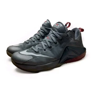 Nike LeBron James Xii Low Wolf Grey 724557-014 Sneakers Sz. 10 Men’s No Box - Picture 1 of 12