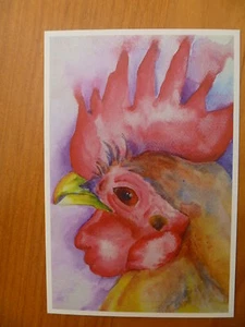 POSTCARD....CHOOK...HEN..CHICKEN...ROOSTER..POULTRY..WATERCOLOR ARTISTIC - Bild 1 von 2
