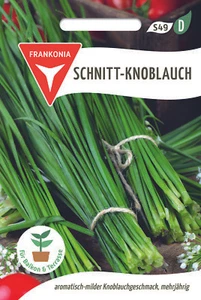 Schnitt - Knoblauch - Bild 1 von 2