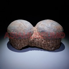 DOUBLE PAIR Dinosaur Egg Nest Hadrosaur Duckbill Fossil Jurassic Cretaceous Gh36