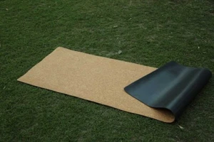 Cork Yoga Mat with Alignment Marks, 100% Sweat Proof, Eco-Friendly Non-Slip Mat - Picture 1 of 7