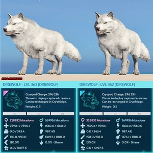 Top Stat Direwolf Mating Pair - Solid White  - Ark Ascended ASA Crossplay PVE - Picture 1 of 2
