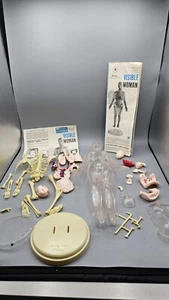 VTG 1960 Renwal The Visible Woman + Birth Assembly Kit 804, Missing Skull - Picture 1 of 7