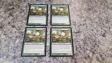 4 Everbark Shaman - Magic the Gathering MTG Morningtide x4 4x Playset