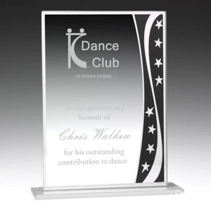 BUDGET GLASS STARGAZER TROPHY AWARD CORPORATE FREE ENGRAVING PERSONALISED 180MM - Picture 1 of 2