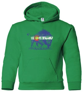 Buffalo Colorado Flag Youth Hoodie Sweatshirt Denver State Animal Pride - Picture 1 of 8