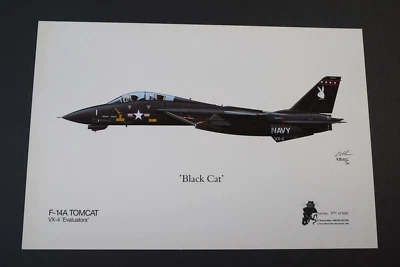Aviation Art -  F-14A  Tomcat  VX-4 'Evaluators'   like Squadron Prints - Image 1 of 4