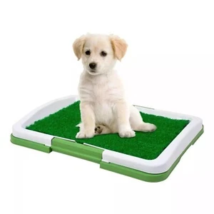 Large Pet Dog Toilet Mat Indoor Restroom Training Grass Potty Pad Loo Tray Pads - Picture 1 of 5