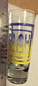 PUERTO VALLARTA DISCO BEACH SOUVENIR SHOT GLASS - Picture 1 of 4