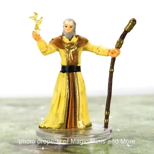 Wildemount ~ TRENT IKITHON #6 Critical Role D&D NPCs Arcmage miniature wizard - Picture 1 of 3